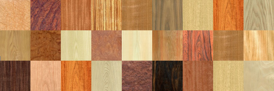 木材の種類と特徴を調べる木材図鑑 木材博物館