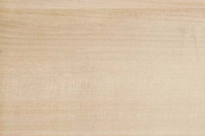 桐　キリ キリ | 木材博物館